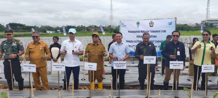 pemuda katolik 1